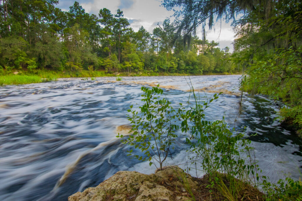 Big Shoals State Park, with rushing river and greenery on either bank