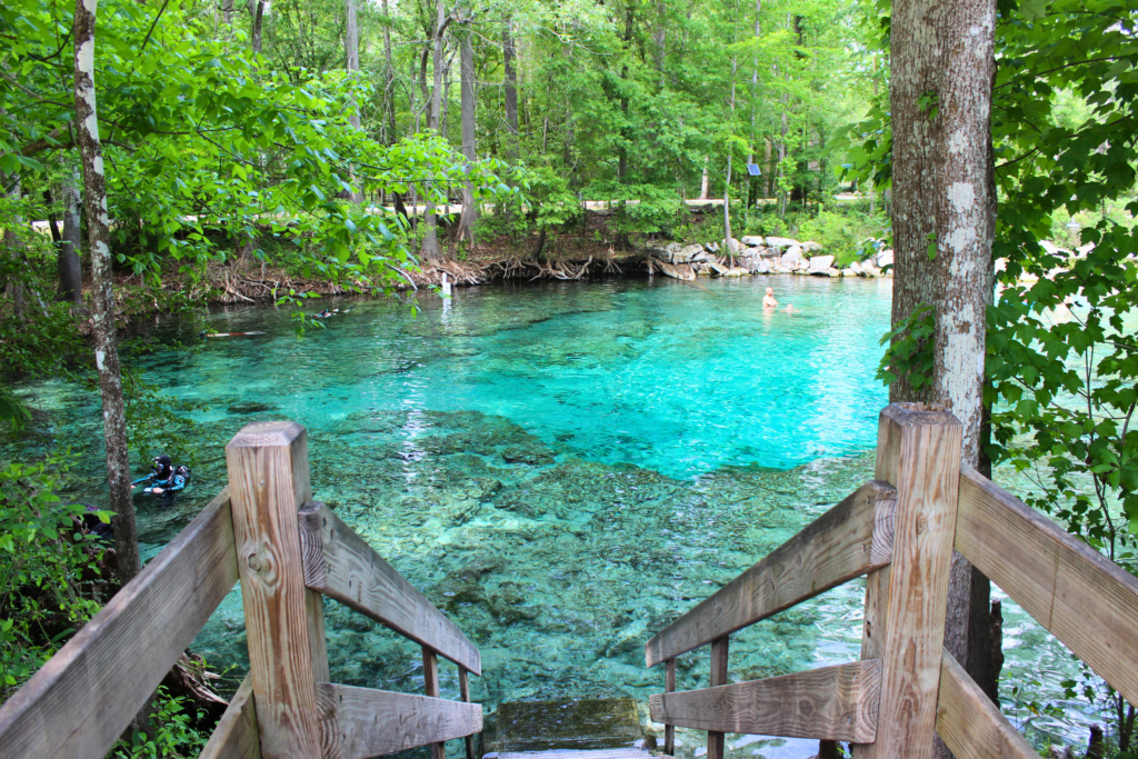 Photo of the blue crystal-blue water at Ginnie Springs