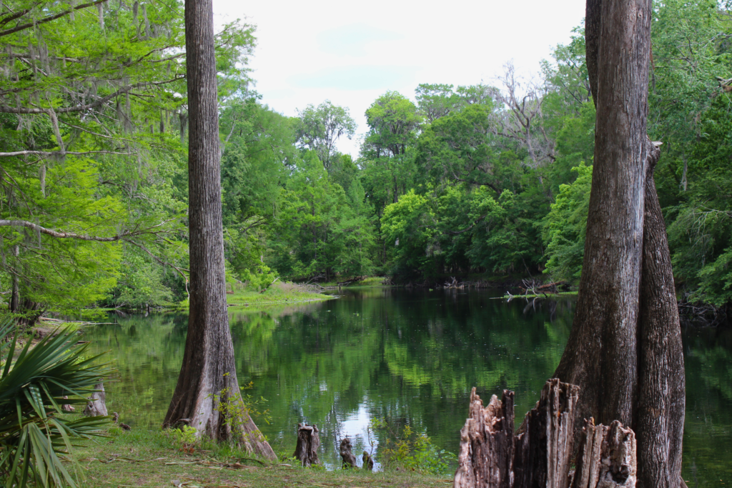 Rum Island, featuring clear waterway with natural forest and trees surrounding the body of water